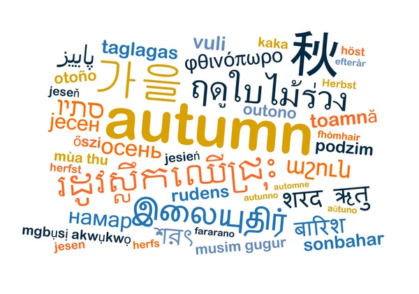 Autumn multilanguage wordcloud background concept — Stock Photo, Image