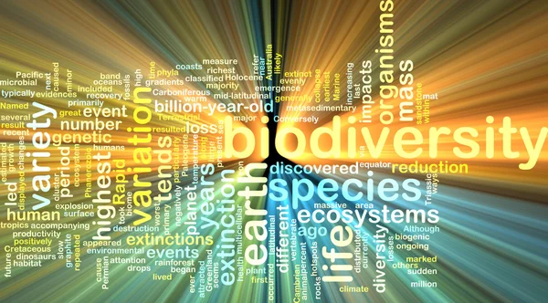 Biodiversity wordcloud concept illustration glowing — Stock Photo, Image