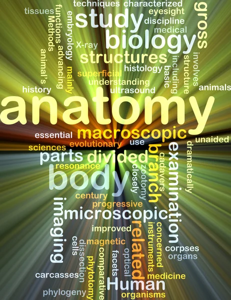 Anatomia wordcloud conceito ilustração brilhando — Fotografia de Stock