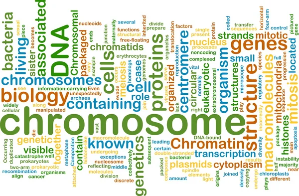 Kromoszóma wordcloud koncepció illusztráció — Stock Fotó