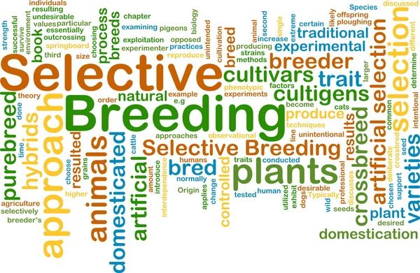 Selective breeding wordcloud concept illustration — Stock Photo, Image