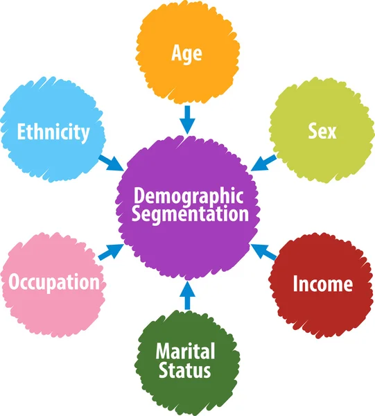 Väestörakenteen segmentoitumista kuvaava yrityskaavio — kuvapankkivalokuva