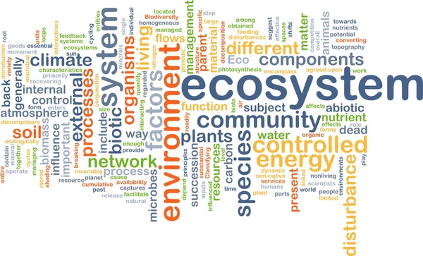 Ecosysteem wordcloud concept illustratie — Stockfoto