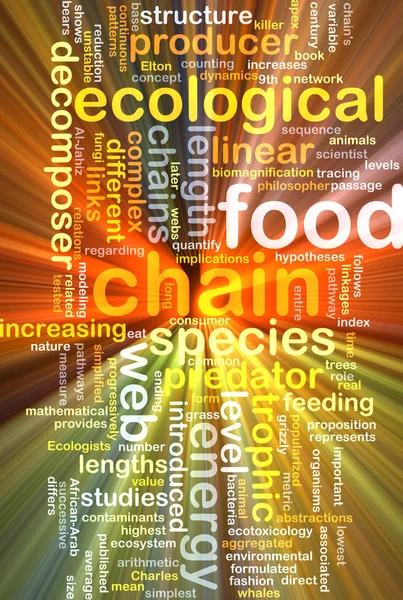 Food chain wordcloud concept illustration glowing — Stock Photo, Image