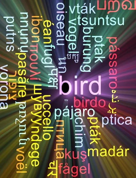 Pássaro multilíngue wordcloud fundo conceito brilhante — Fotografia de Stock