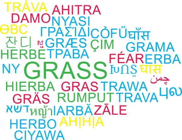 Grass vícejazyčné wordcloud pozadí koncepce — Stock fotografie