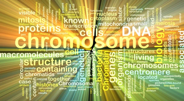 Kromoszóma wordcloud koncepció illusztráció izzó — Stock Fotó