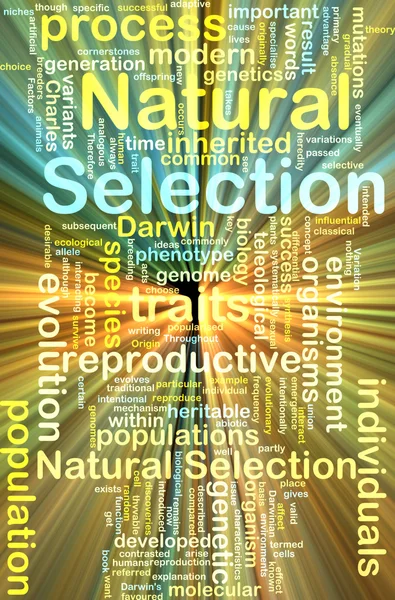 Natural selection wordcloud concept illustration glowing — Stock Photo, Image