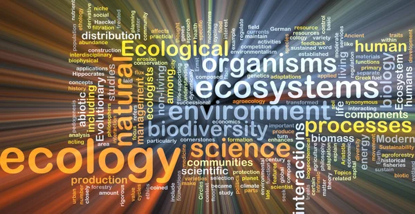 Ecologia wordcloud conceito ilustração brilhando — Fotografia de Stock