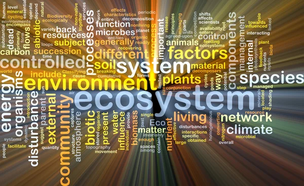 Ecosysteem wordcloud concept illustratie gloeien — Stockfoto