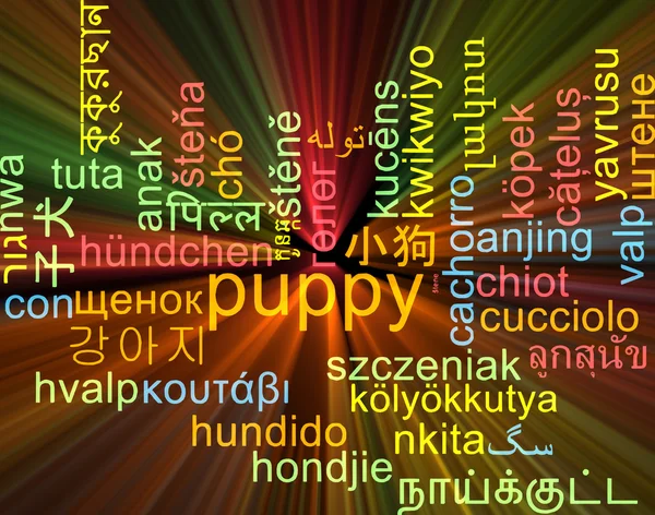 Valp multilanguage wordcloud bakgrund begreppet glödande — Stockfoto