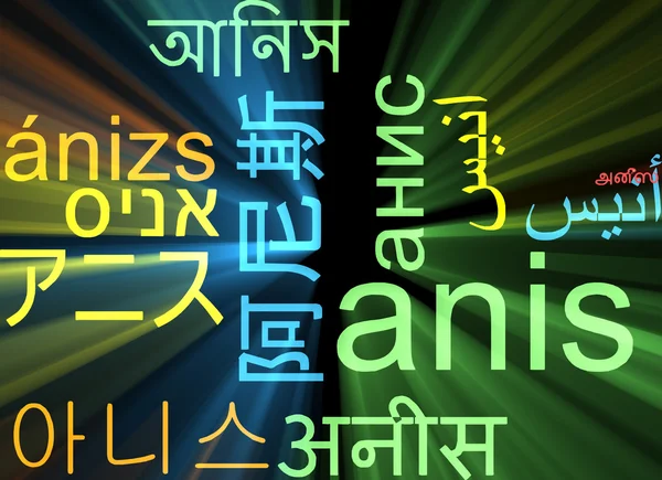 Anis multilanguage wordcloud background concept glowing — Stock Photo, Image
