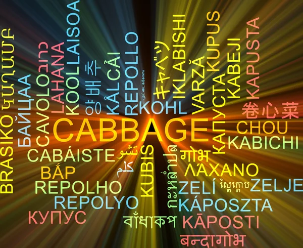 Cabbage multilanguage wordcloud background concept glowing — Stock Photo, Image