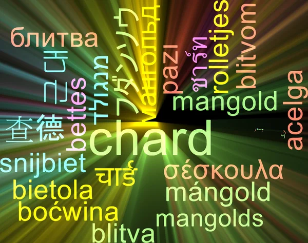 Chard multilingue wordcloud concept de fond lumineux — Photo