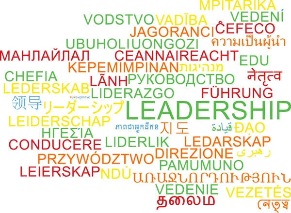 Leadership multilanguage wordcloud background concept — Stock Photo, Image