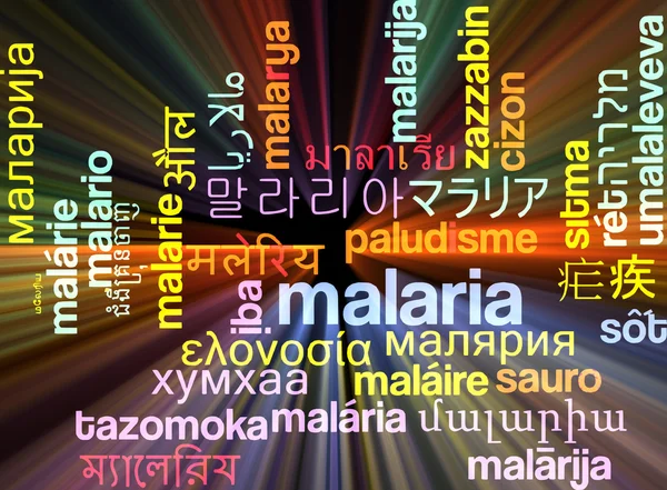 Paludisme multilingue wordcloud concept de fond lumineux — Photo