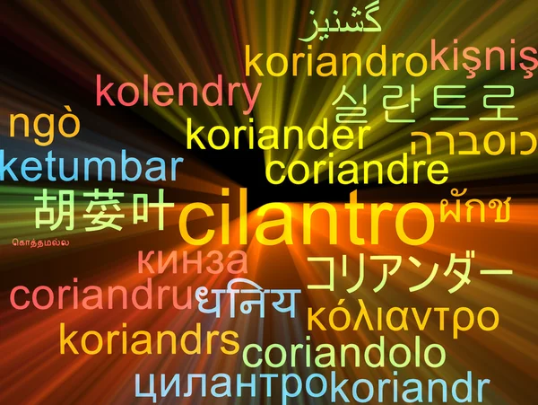 Cilantro multilanguage wordcloud background concept glowing — Stock Photo, Image