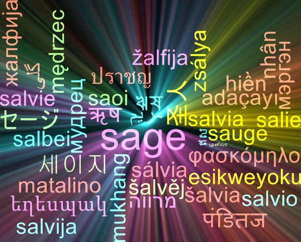 Sábio multilíngue wordcloud conceito de fundo brilhante — Fotografia de Stock