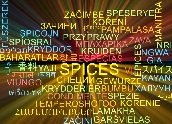 Spices multilanguage wordcloud background concept glowing — Stock Photo, Image