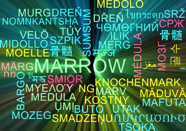 Marrow multilanguage wordcloud background concept glowing — Stock Photo, Image