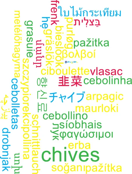 Chives multilanguage wordcloud background concept — Stock Photo, Image