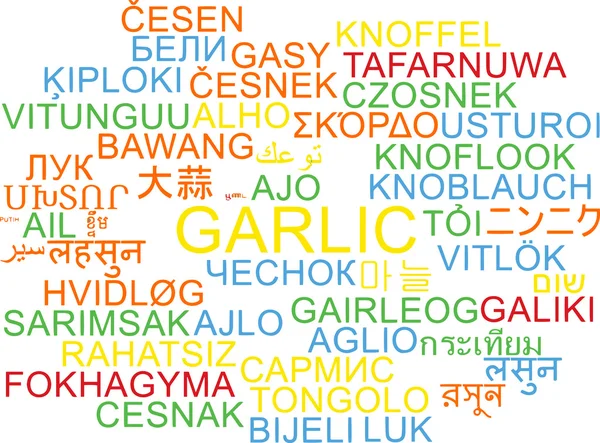 Knoblauch mehrsprachiges Wordcloud-Hintergrundkonzept — Stockfoto