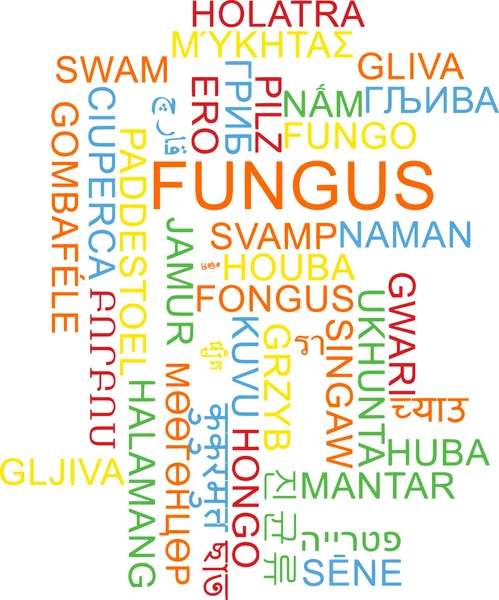 Fungus multilanguage wordcloud background concept — Stock Photo, Image