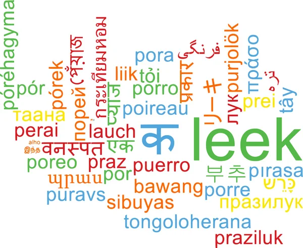 Leek multilanguage wordcloud background concept — Stock fotografie