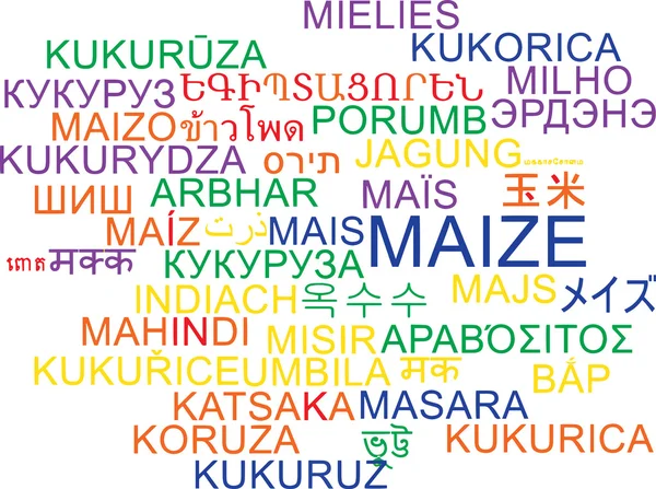 Maize multilanguage wordcloud background concept — Stock Photo, Image