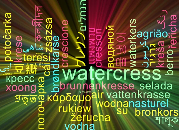 Watercress multilanguage wordcloud background concept glowing — Stock Photo, Image