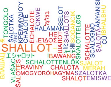 Soğancık çoklu dil wordcloud arka plan kavramı