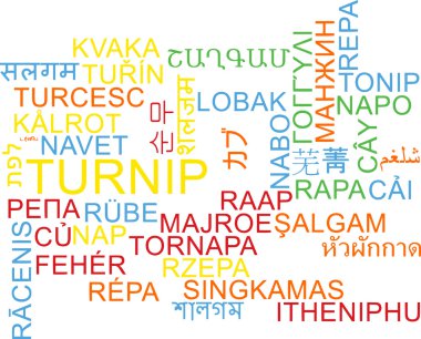Fundo Internacional multilíngüe do conceito wordcloud muitos ilustração de linguagem de nabo