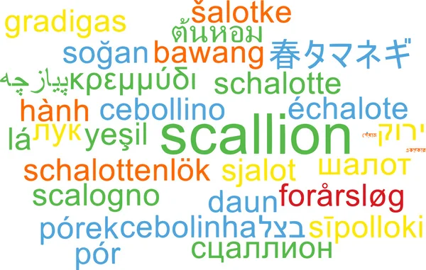 Scallion multilanguage wordcloud background concept — Stock fotografie