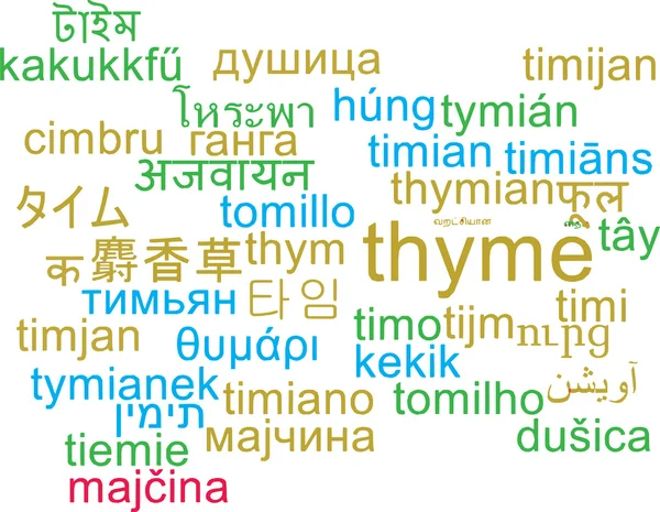 Thyme multilanguage wordcloud background concept — Φωτογραφία Αρχείου