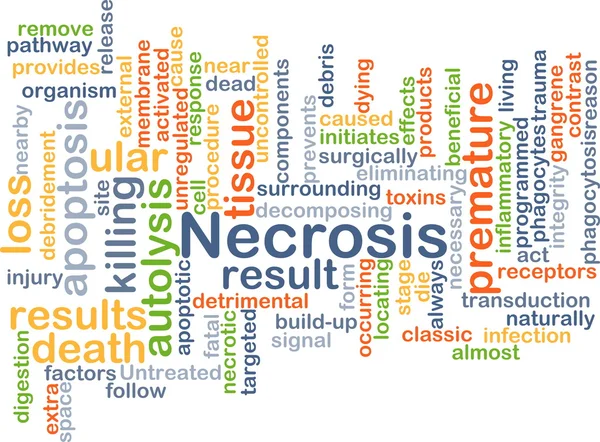 nekroz arka plan kavramı