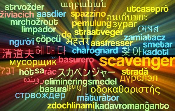 Scavenger multilanguage wordcloud background concept glowing — Stok fotoğraf