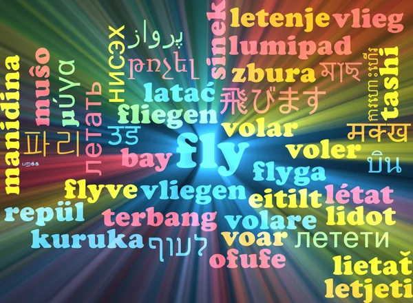 Fly multilanguage wordcloud background concept glowing — Stock Photo, Image