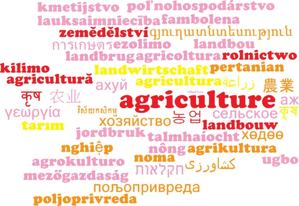 Agriculture multilanguage wordcloud background concept — 스톡 사진