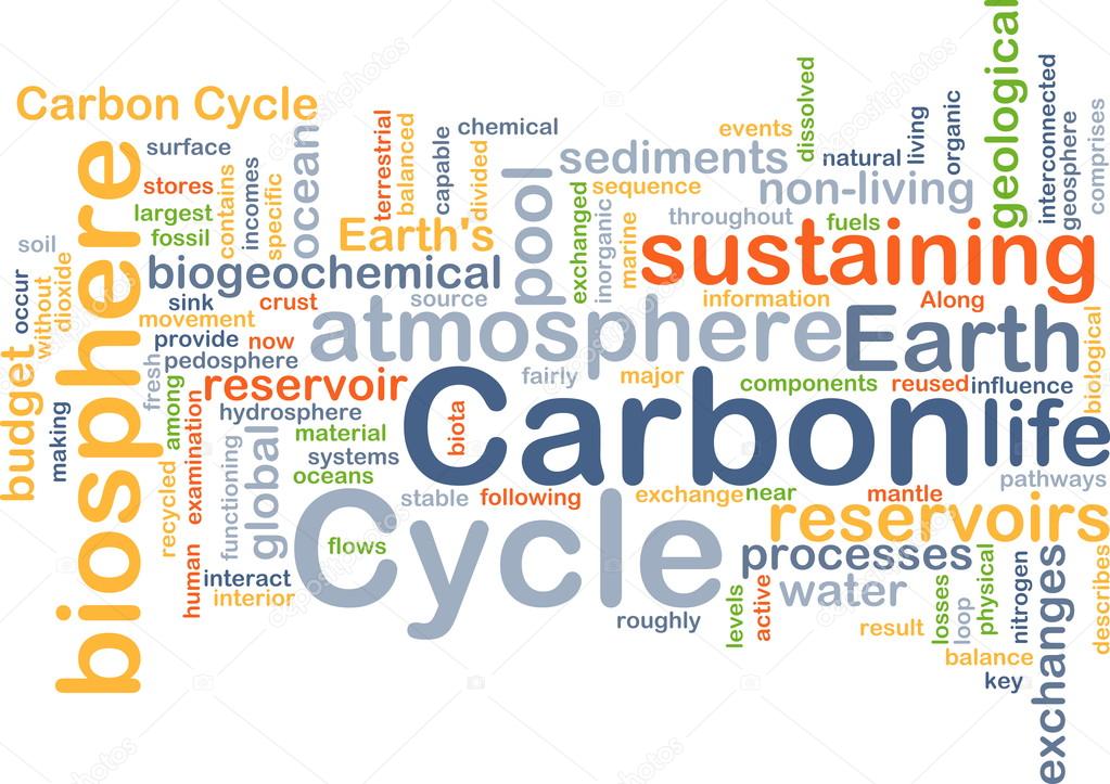 Carbon cycle background concept