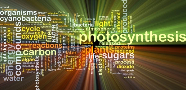 Concetto sfondo fotosintesi incandescente — Foto Stock