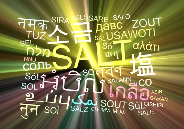 Salt multilanguage wordcloud background concept glowing — Stock Photo, Image