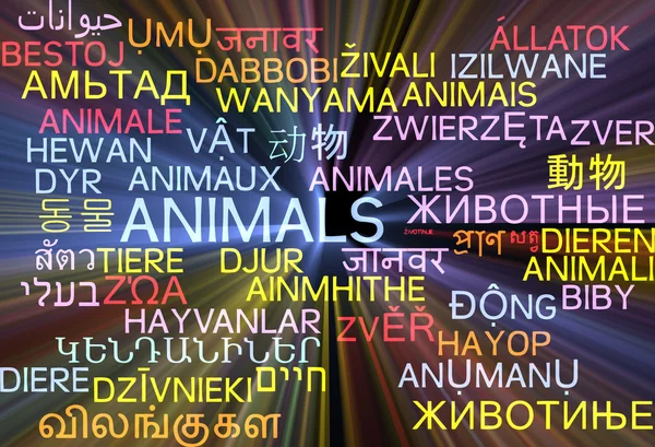Animals multilanguage wordcloud background concept glowing — Stockfoto