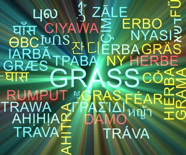 Gras mehrsprachige Wordcloud Hintergrundkonzept glühend — Stockfoto