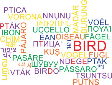 Bird multilanguage wordcloud background concept