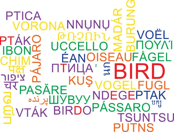 Uccello multilingua wordcloud concetto di sfondo — Foto Stock