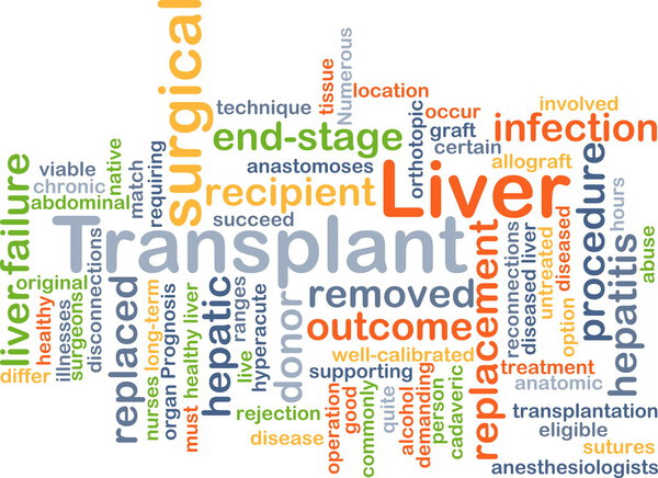 Концепция трансплантации печени
