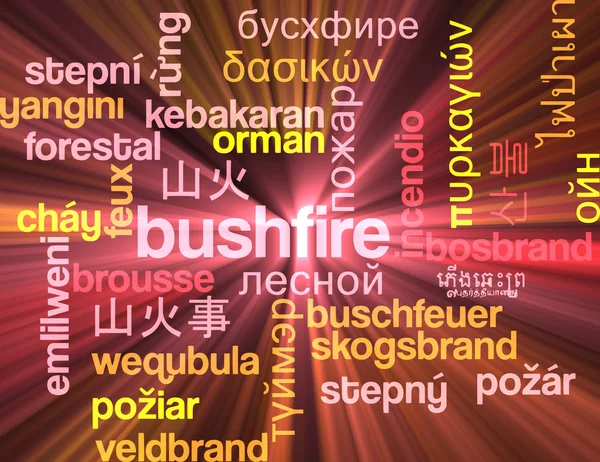 Bushfire vícejazyčné wordcloud pozadí koncepce zářící — Stock fotografie
