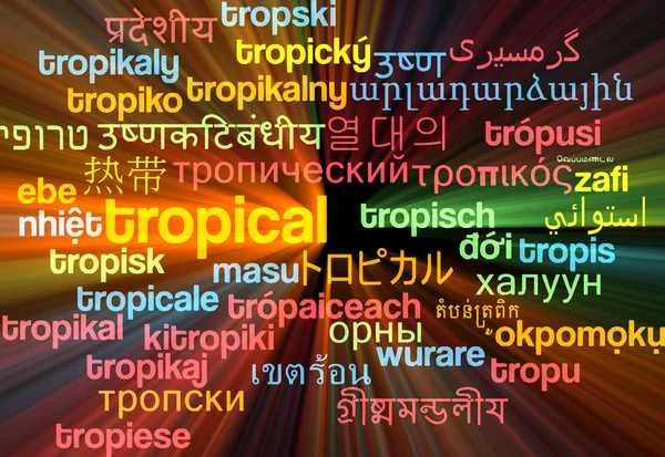 Tropical multilanguage wordcloud background concept glowing — Stock Photo, Image