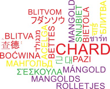 Pazı çoklu dil wordcloud arka plan kavramı