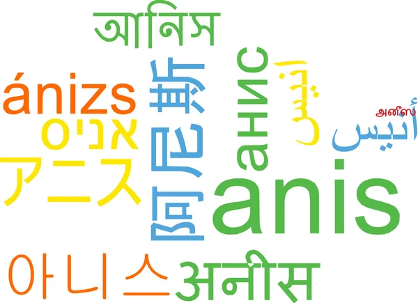 Anis multilanguage wordcloud bakgrunden koncept — Stockfoto